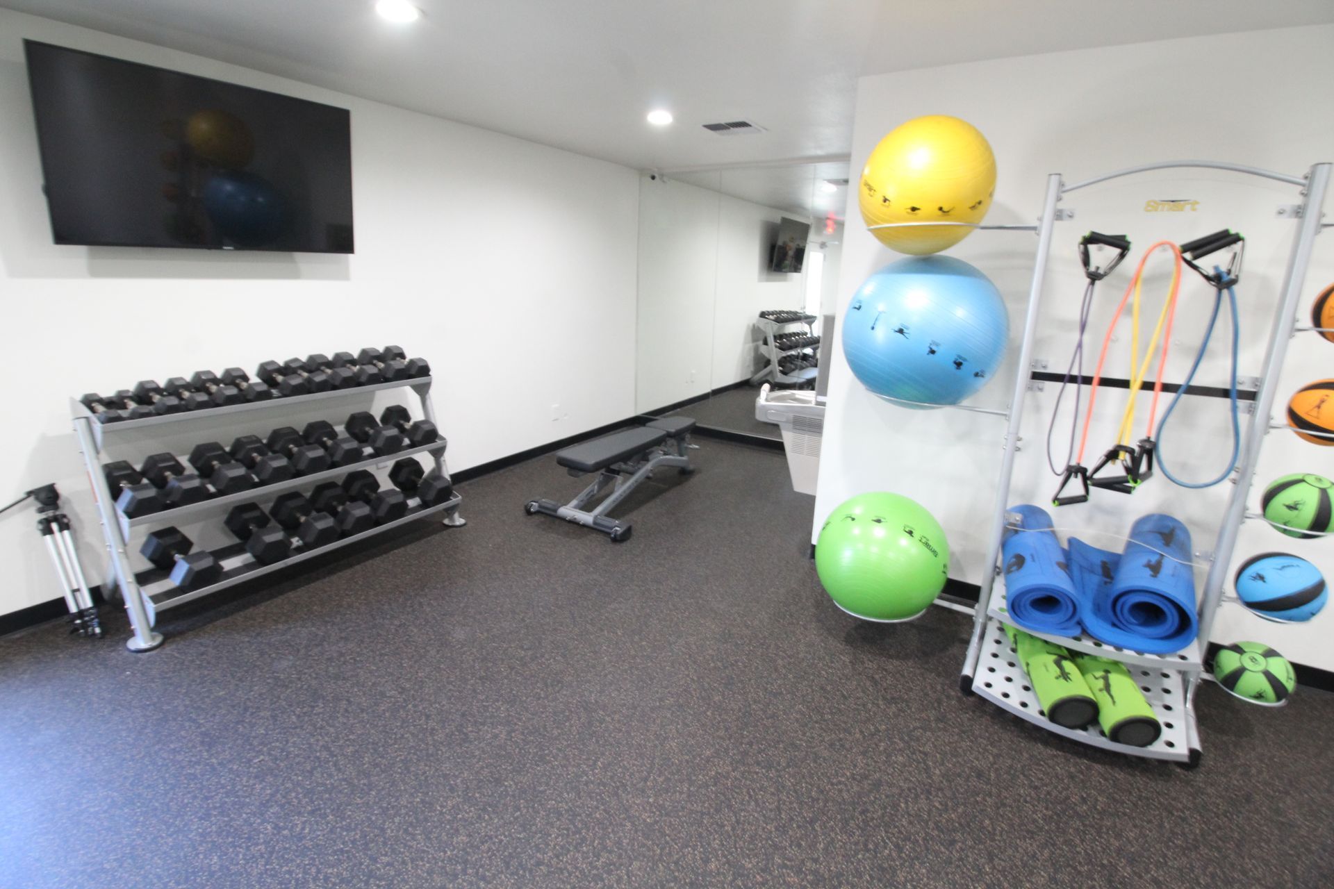 A gym with a bunch of dumbbells and exercise balls