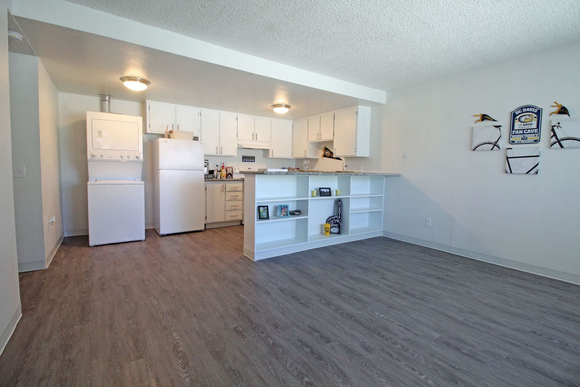 A living room with a kitchen and a refrigerator in it.