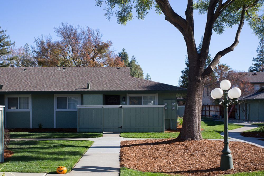 A house with a tree in front of it