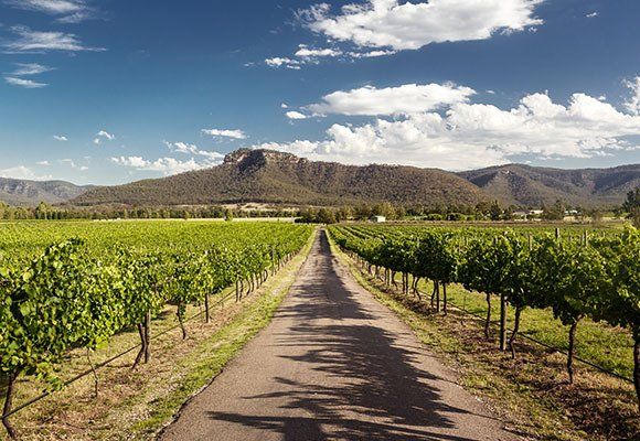 View of Hunter Valley Vineyards — Areas We Service in Innisfail, QLD