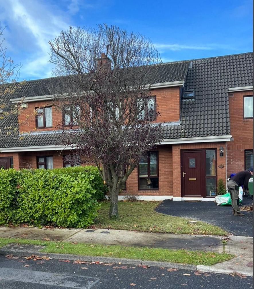 A brick house with a black roof and a tree in front of it