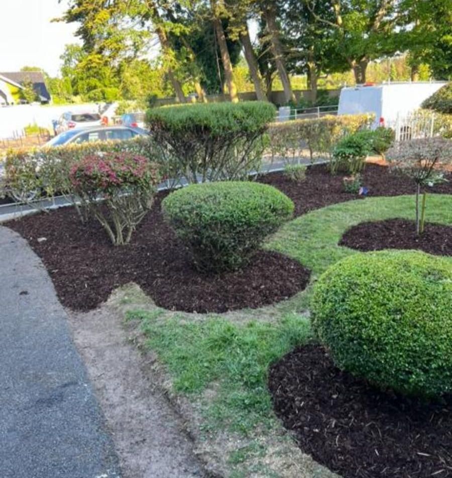 A garden with a lot of bushes and trees