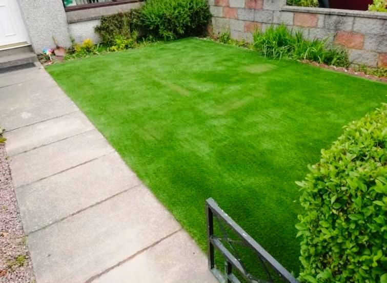 A lush green lawn with a concrete walkway leading to it.