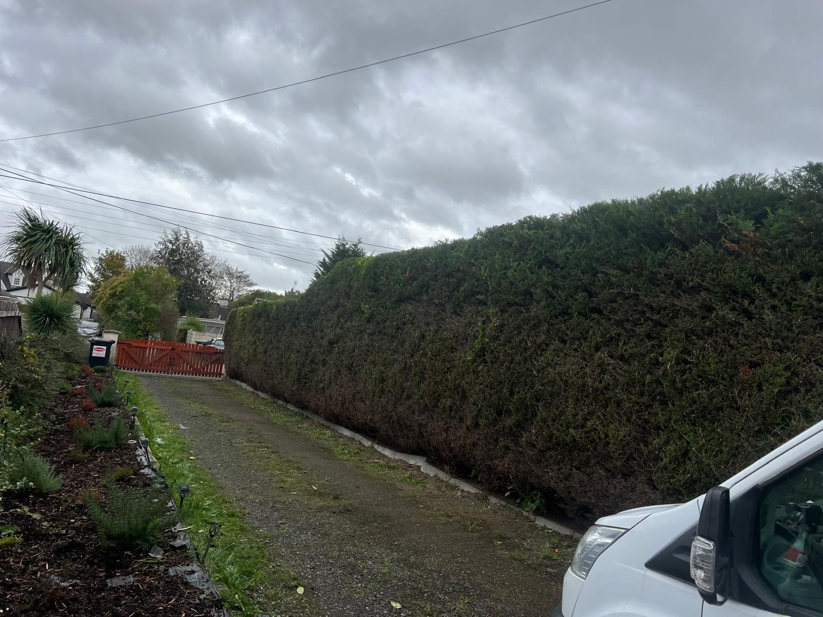A driveway lined with a tall, dense hedge under a cloudy sky. A white van is parked on the right.