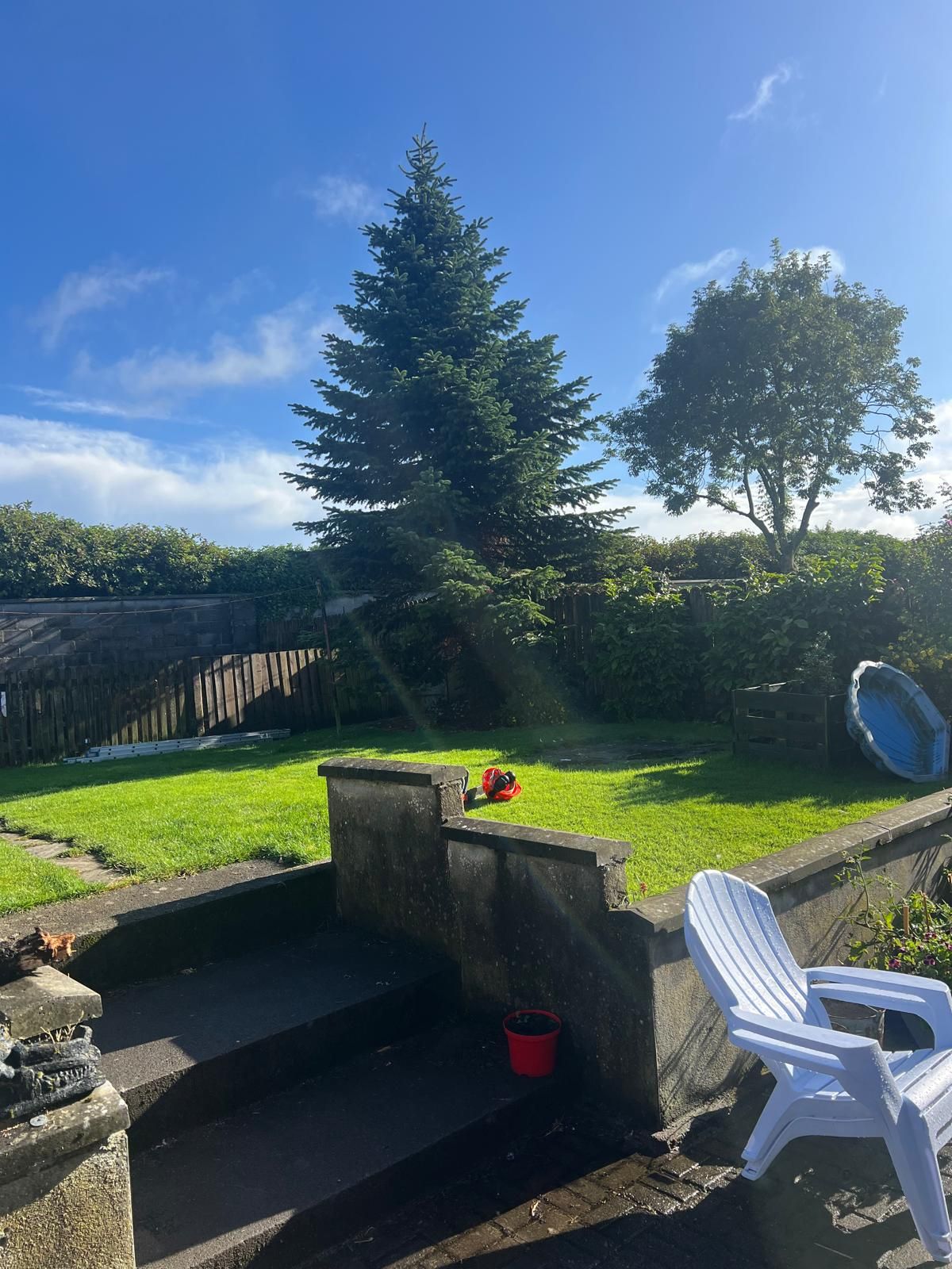 Lush green backyard with a large evergreen tree and a blue sky. Concrete steps lead to a lawn and garden.