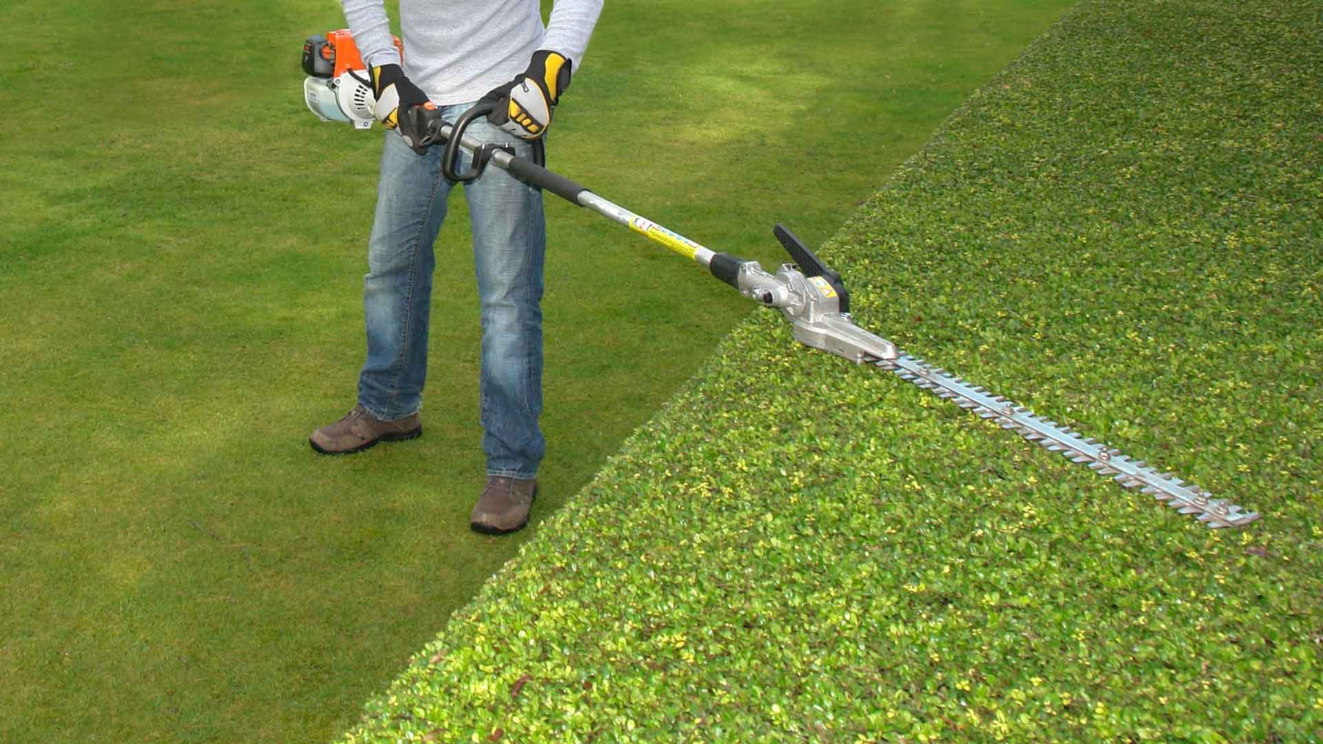 Person trimming a green hedge with a long-reach hedge trimmer in a grassy yard.