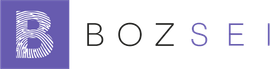 Boz SEI Logo