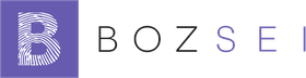 Boz SEI Logo