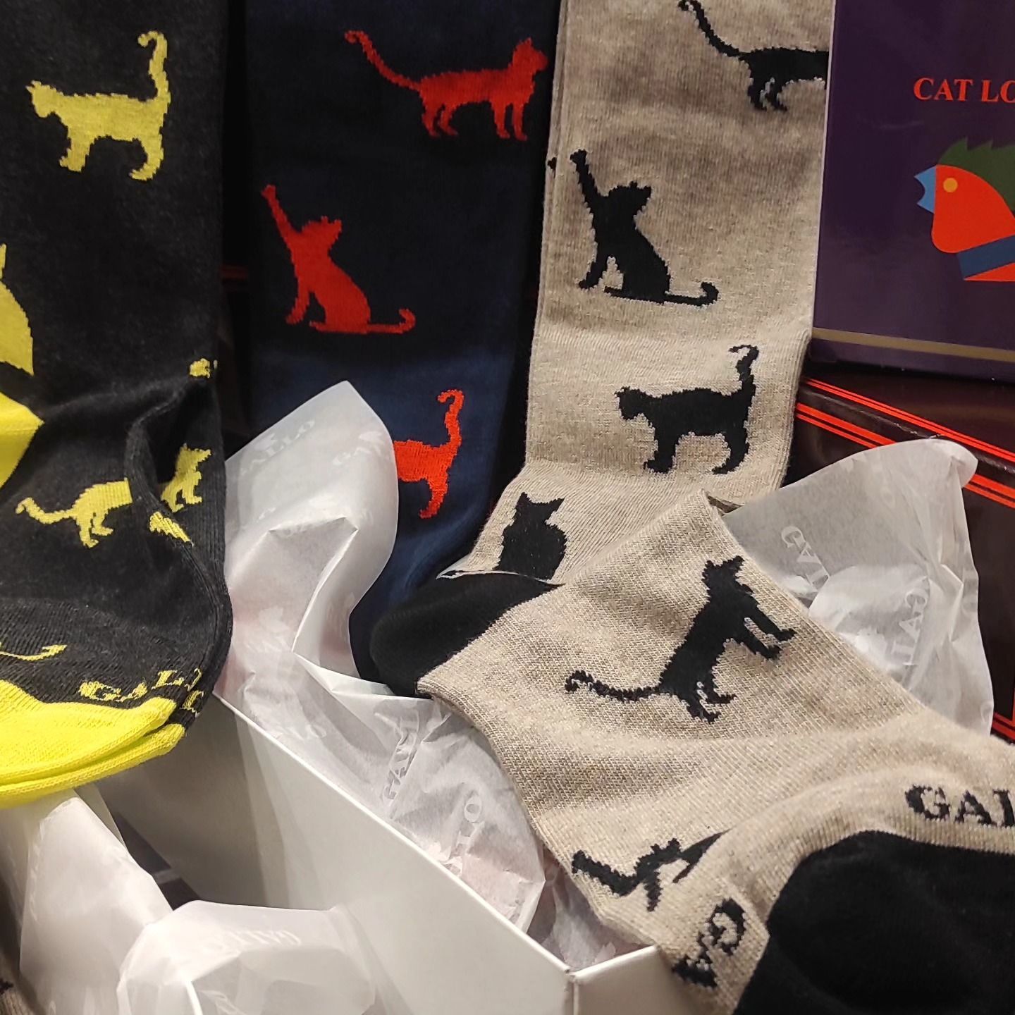 Calzini a tema gatto in confezione regalo. Vari colori, fantasie e pose.