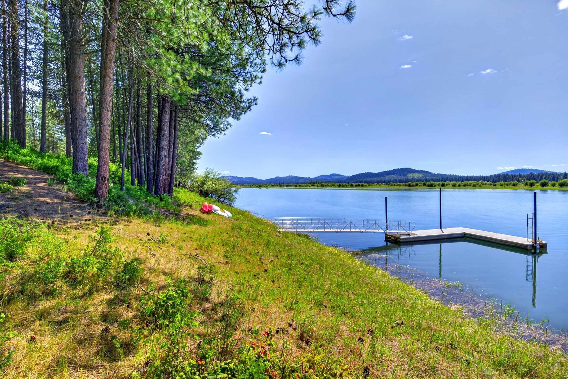 Sunny lakeside view with pine trees, grassy shore, and a small dock extending into calm blue water