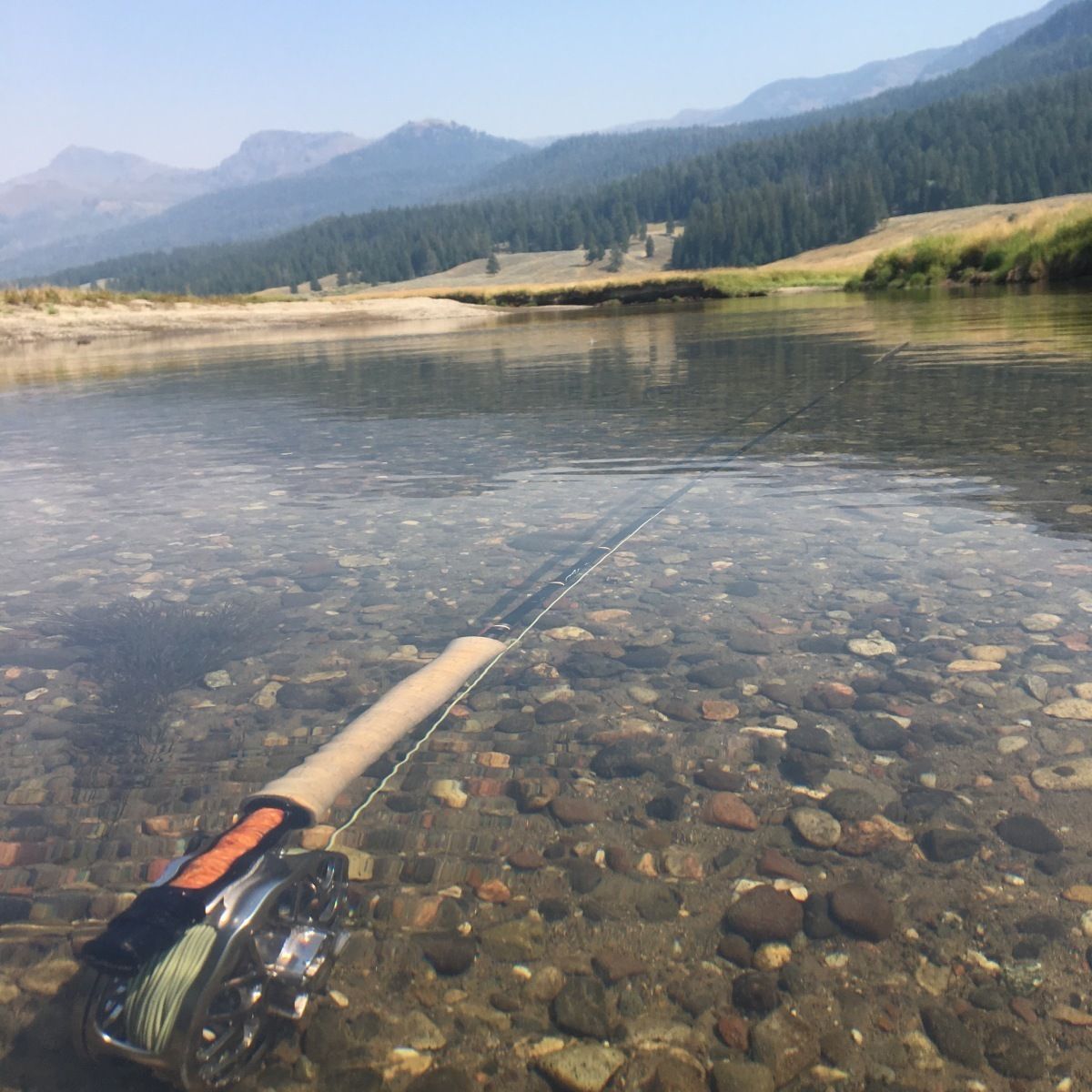 Yellowstone River Gallery Image