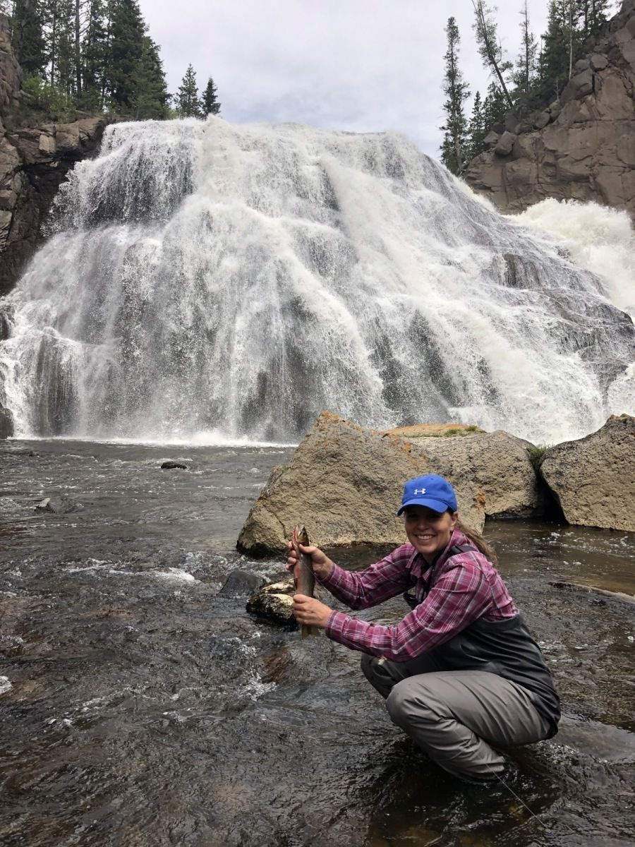 Yellowstone River Gallery Image