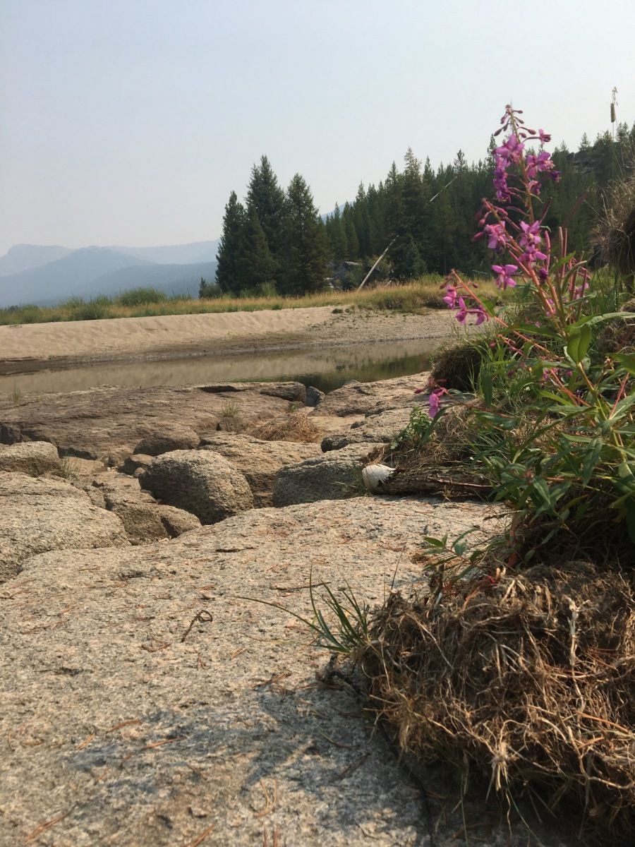 Yellowstone National Park Gallery Image