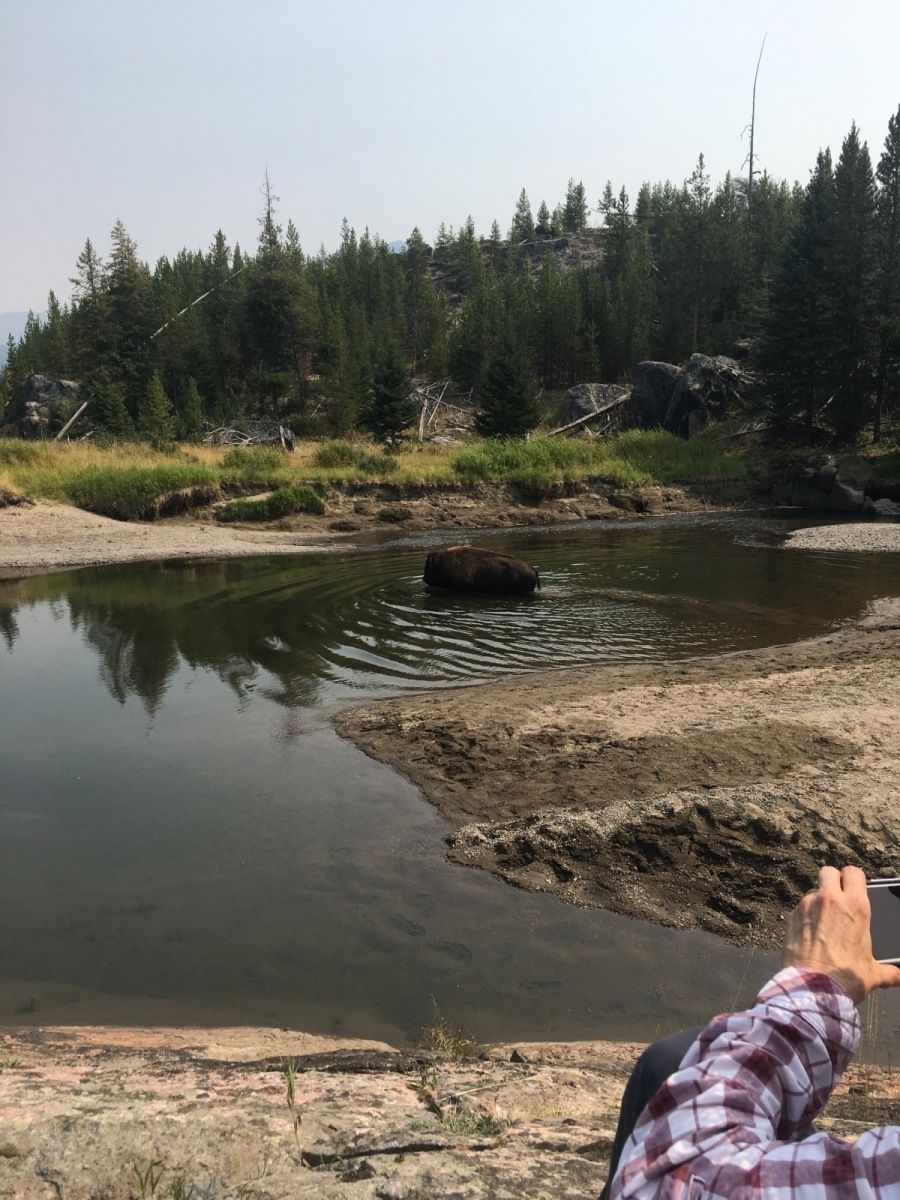 Yellowstone River Gallery Image