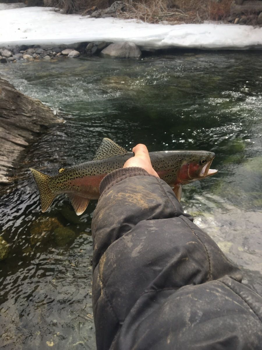 Mill Creek Gallery Image