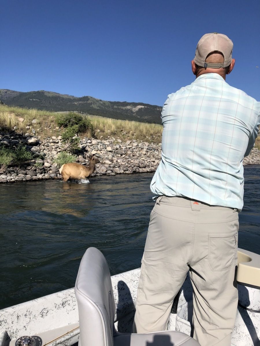 Yellowstone River Gallery Image