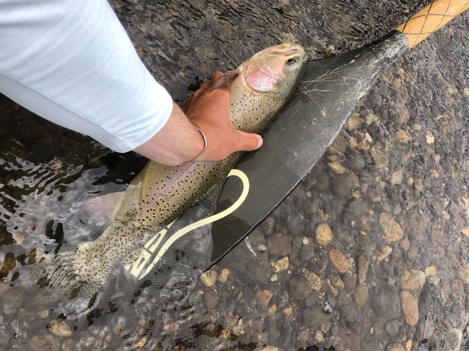 Yellowstone River Gallery Image