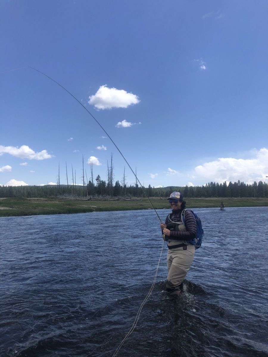Yellowstone National Park Gallery Image