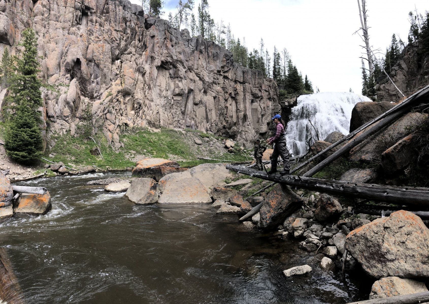Yellowstone National Park Gallery Image