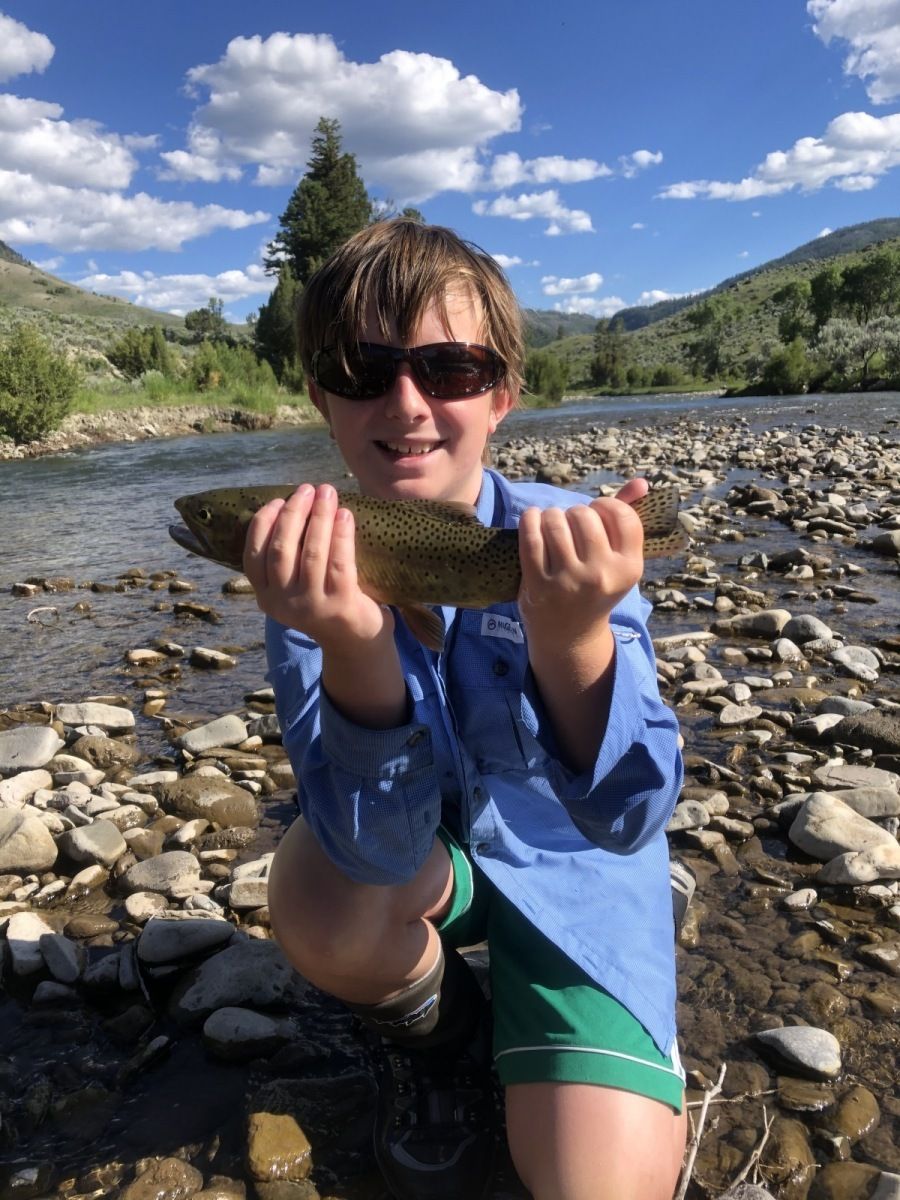 Yellowstone National Park Gallery Image