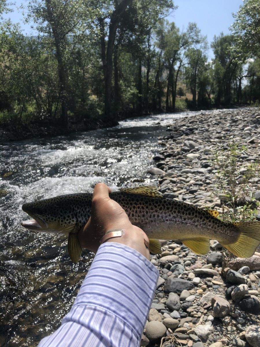 Mill Creek Gallery Image