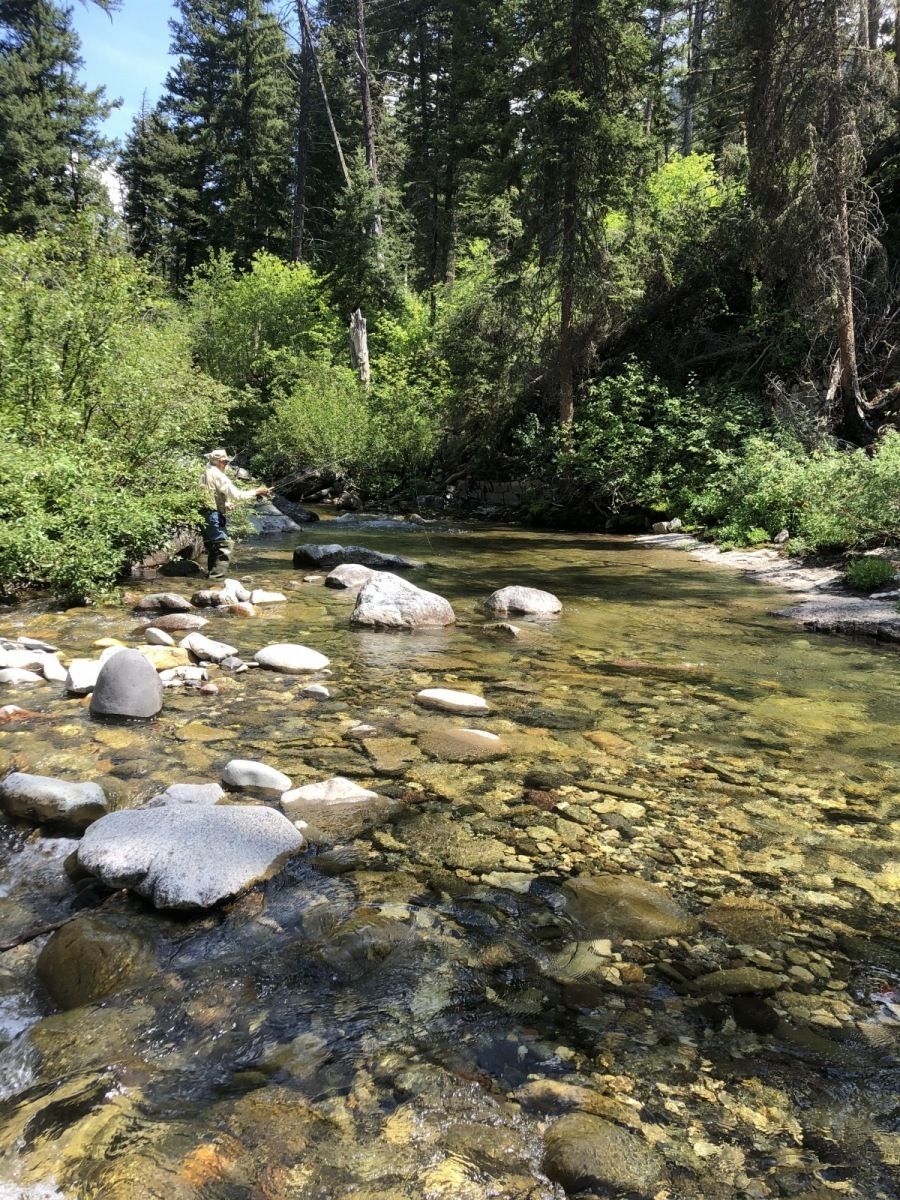 Mill Creek Gallery Image