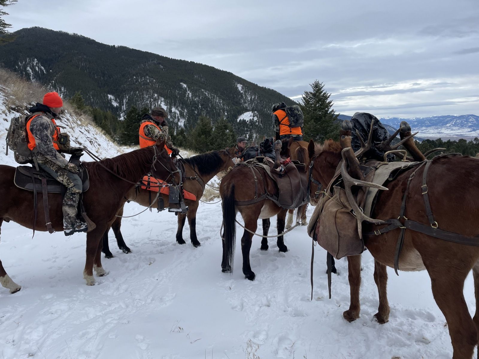 Rifle Elk/Deer Hunts Gallery Image