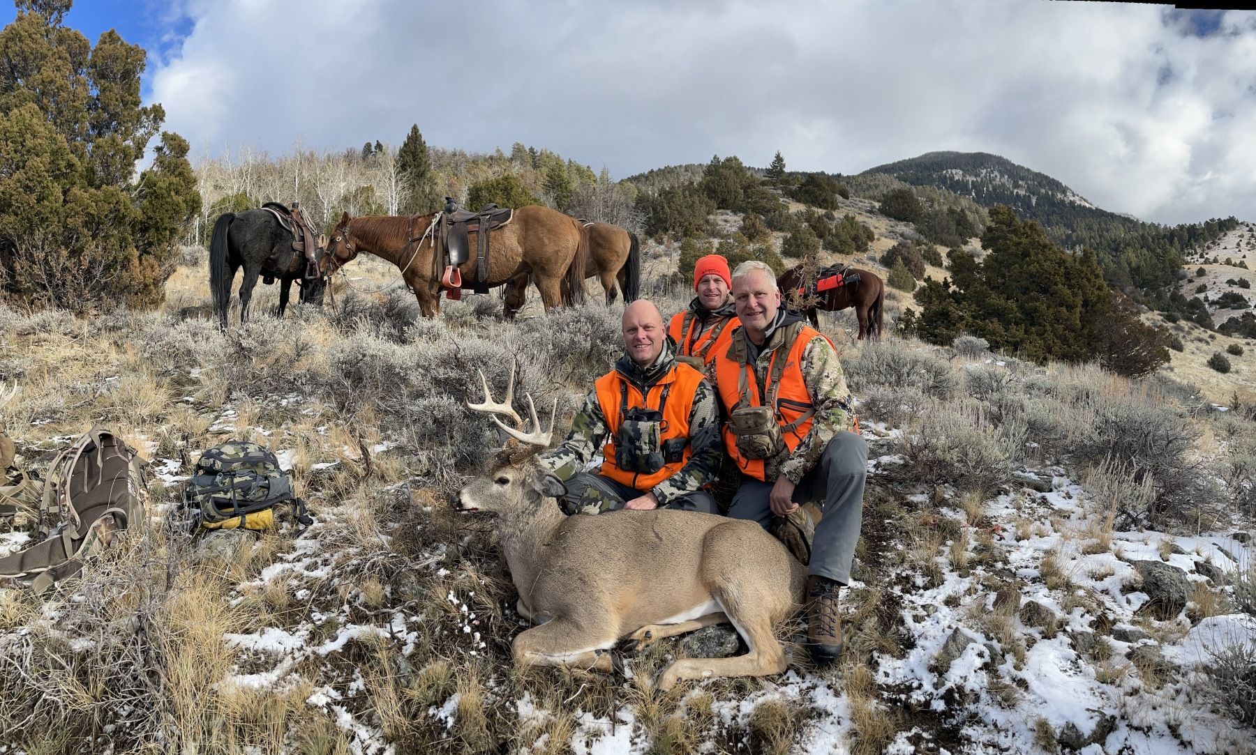 Rifle Elk/Deer Hunts Gallery Image