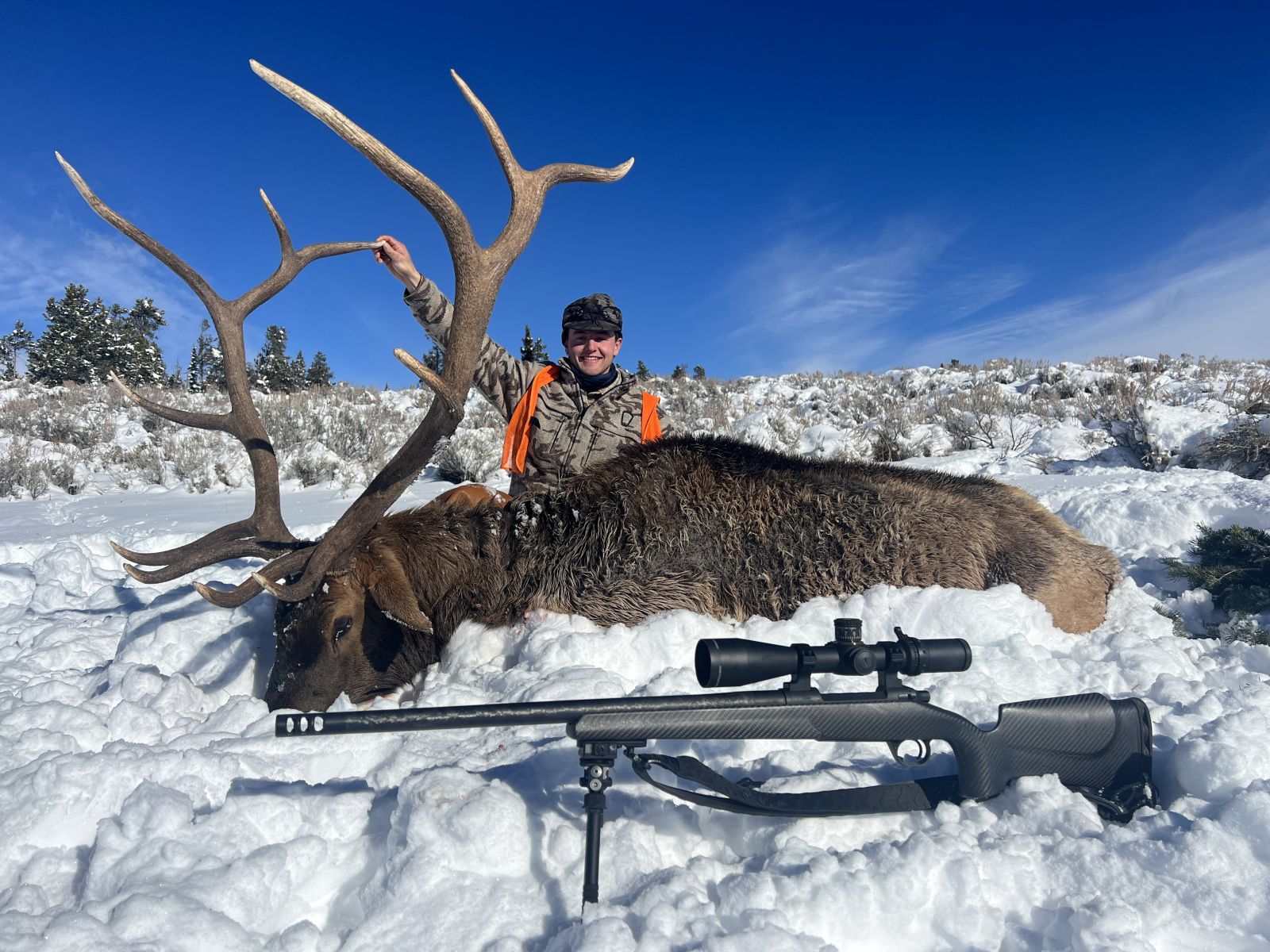 Zander's Giant Bull!