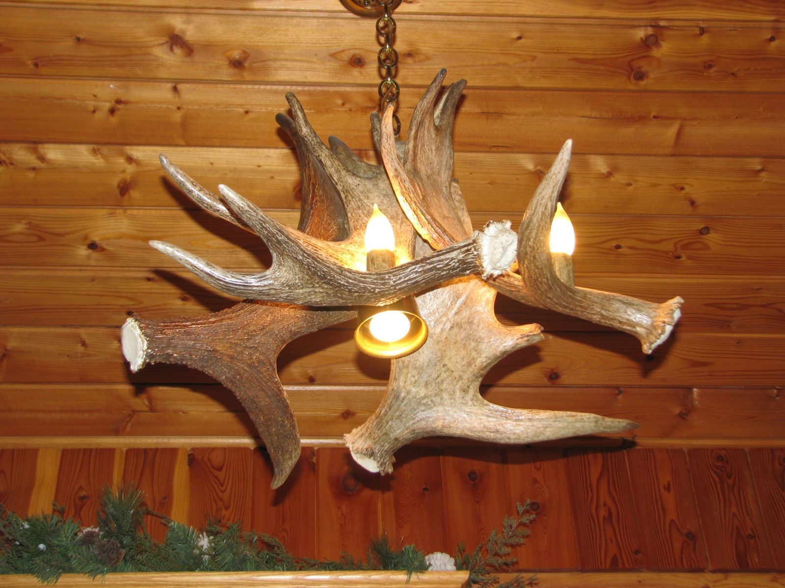 Antler Art