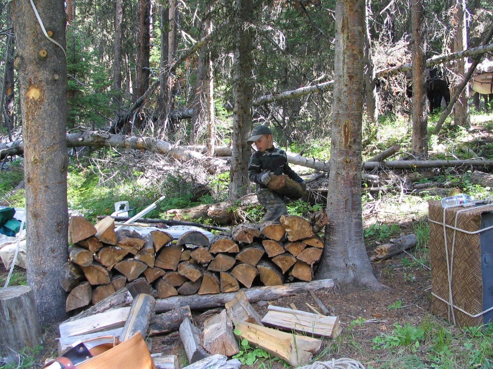 Gotta have firewood!