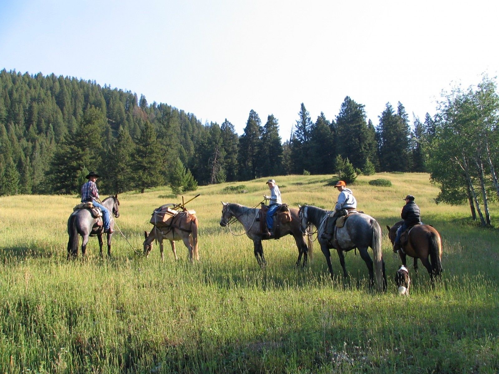 East Fork Trail Camp