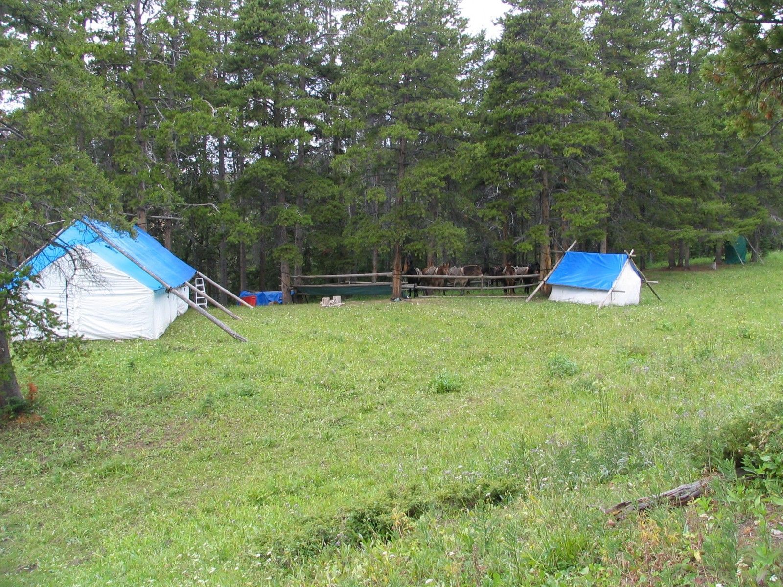 Sage Creek Camp 2004