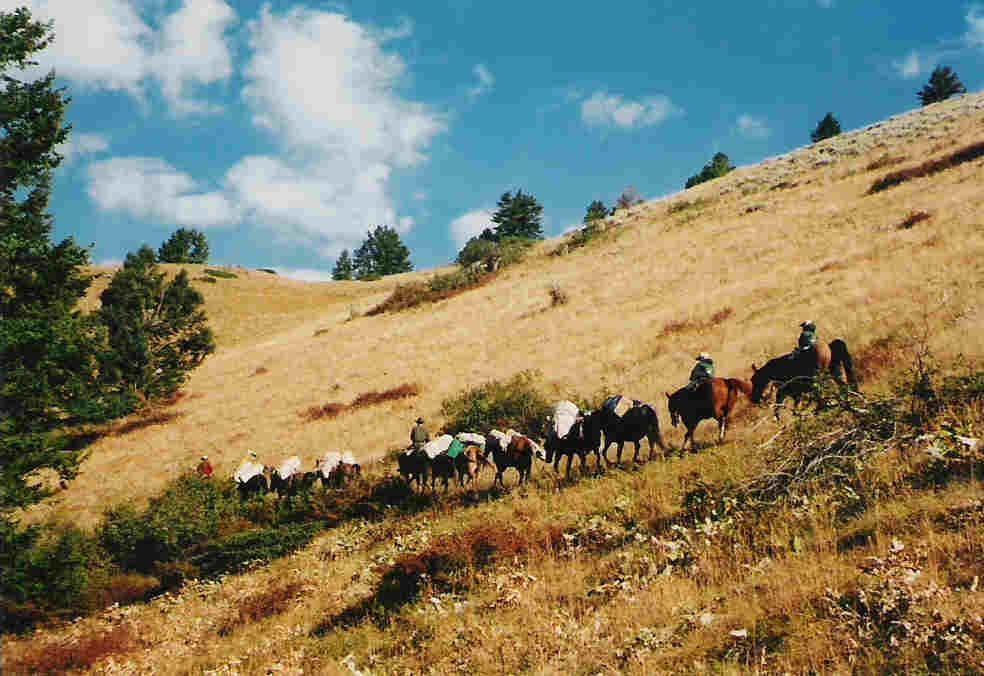 Packing in Sage Creek Camp