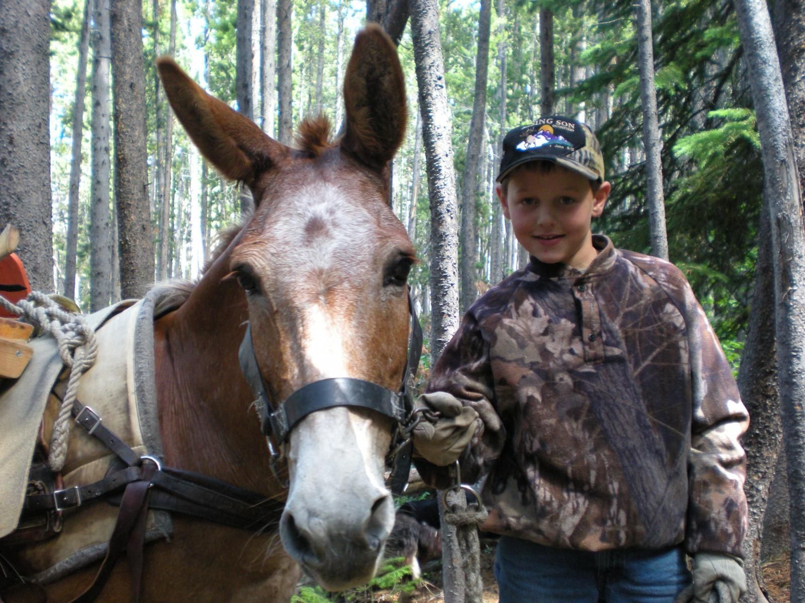 Toby and Zander/Both will work for food!