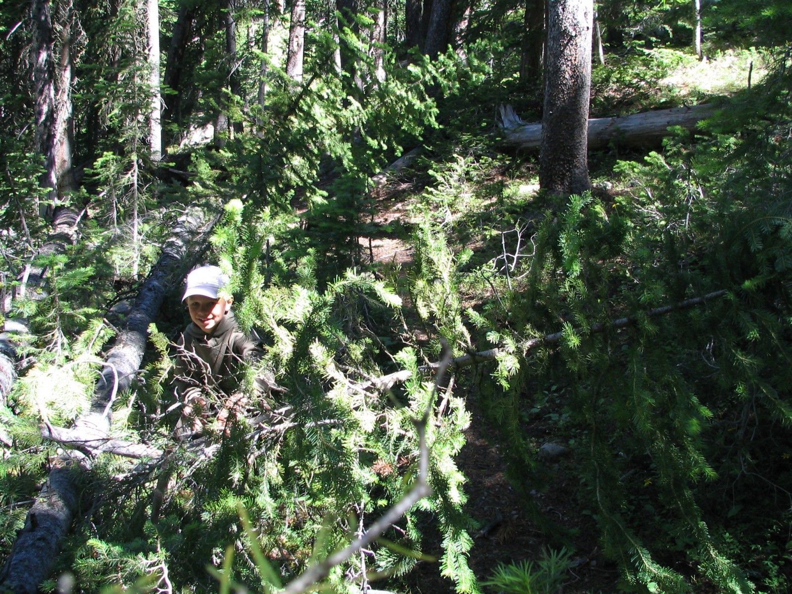 Did you find the trail yet, Zane?