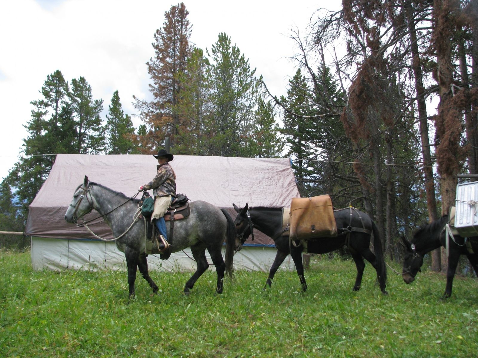 Dena at Sage Creek Camp
