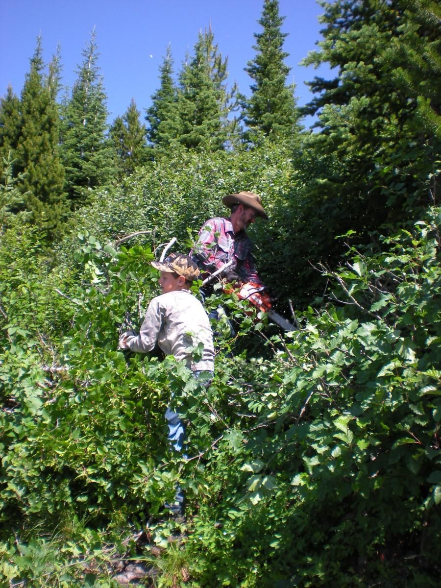 ...and Forest Service