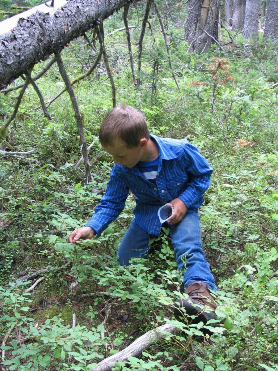 Finding nature's treats...