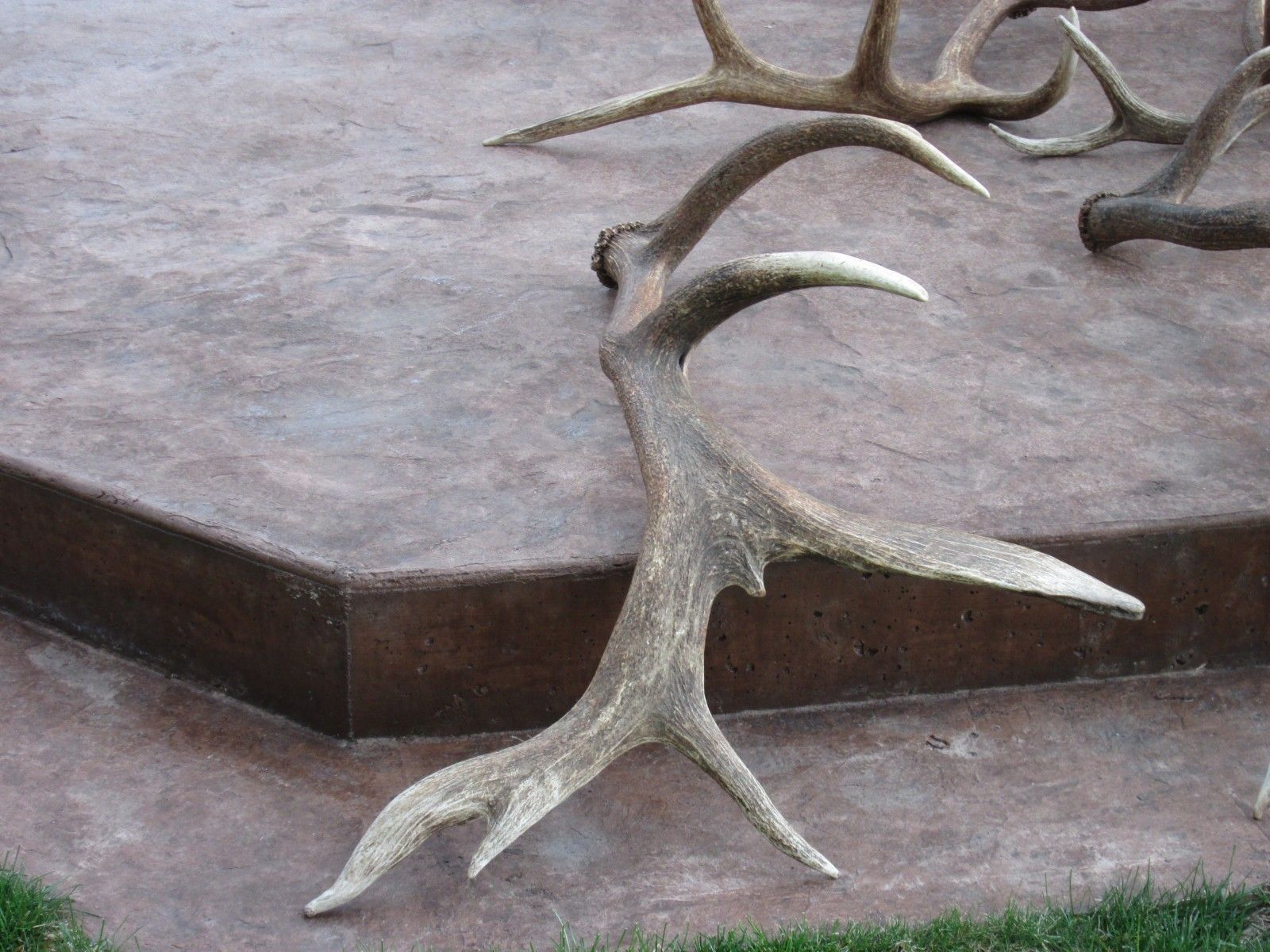 Petrich Family Photo