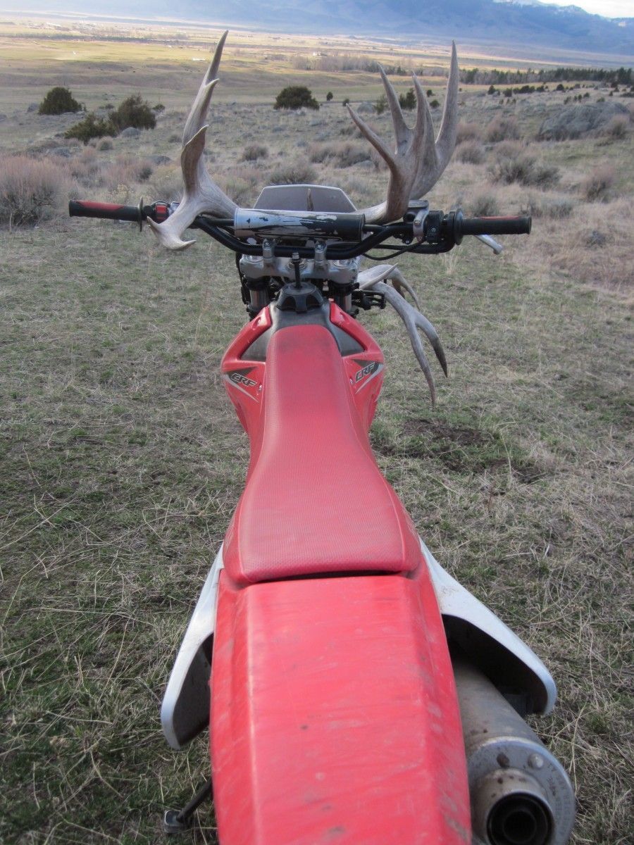 Petrich Family Photo