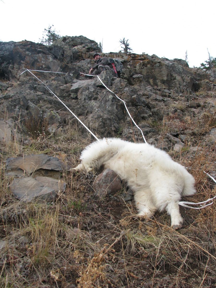 We tied him up to keep him from rolling off the cliff below!