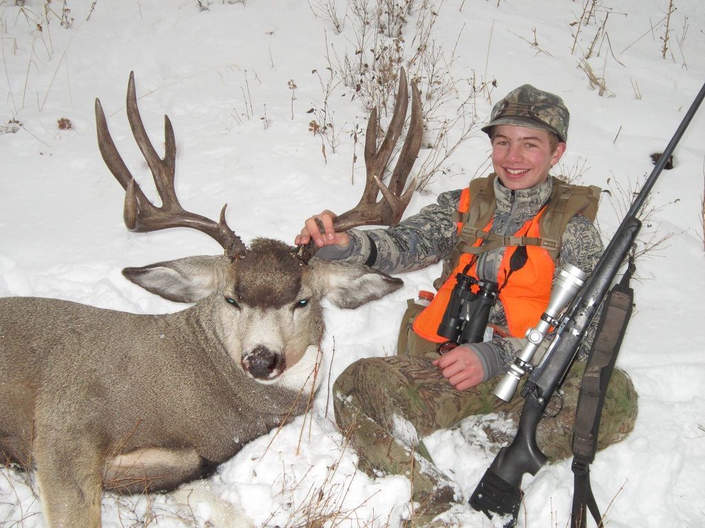 Heavy Mountain Buck