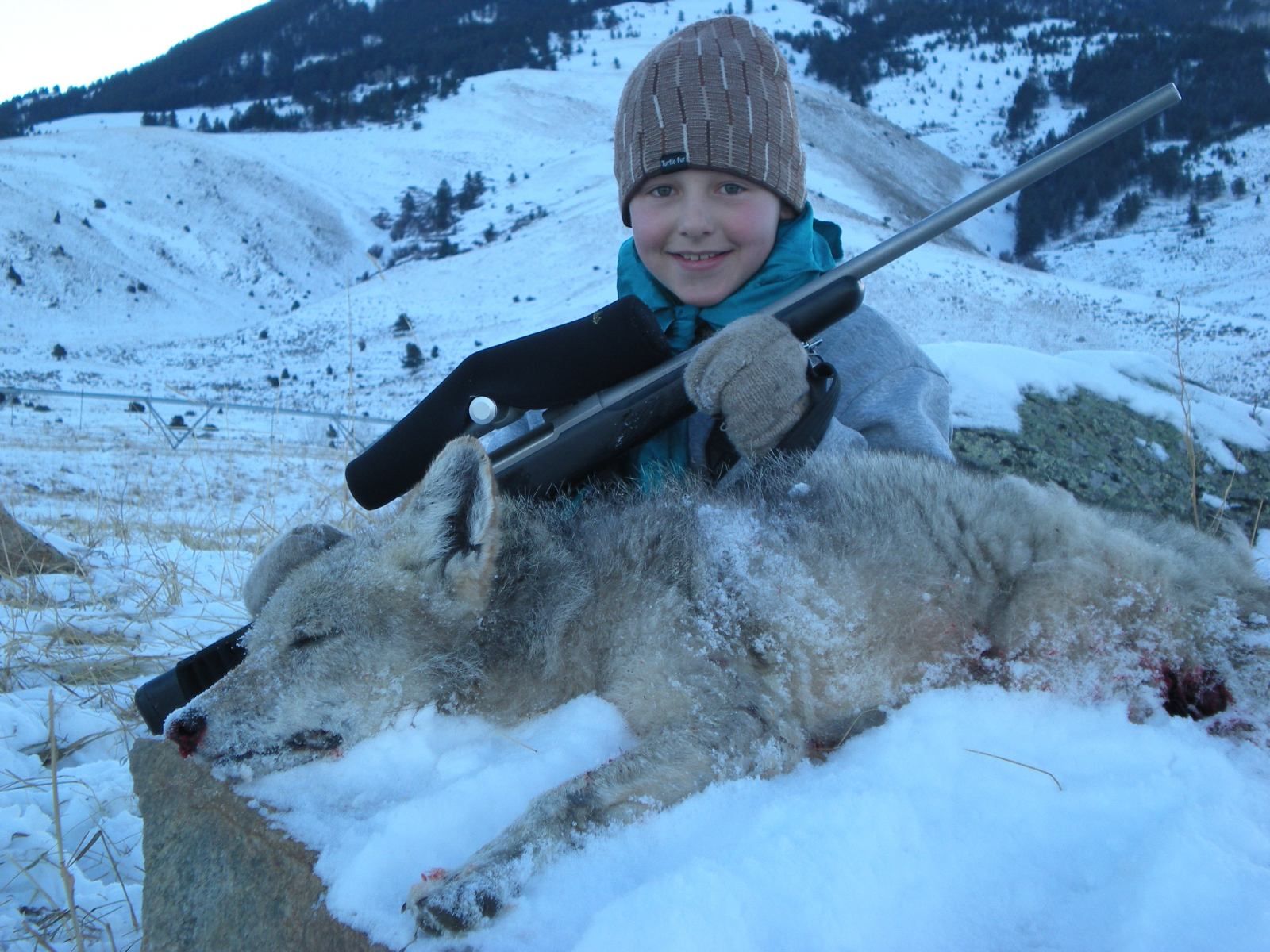 Zander's 1st Coyote!