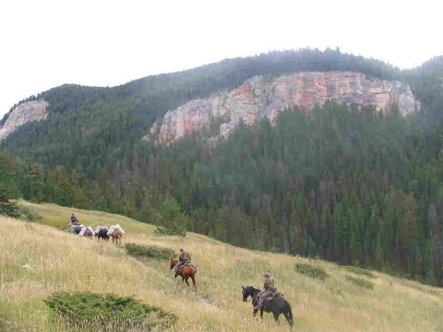Absaroka Wilderness Photo