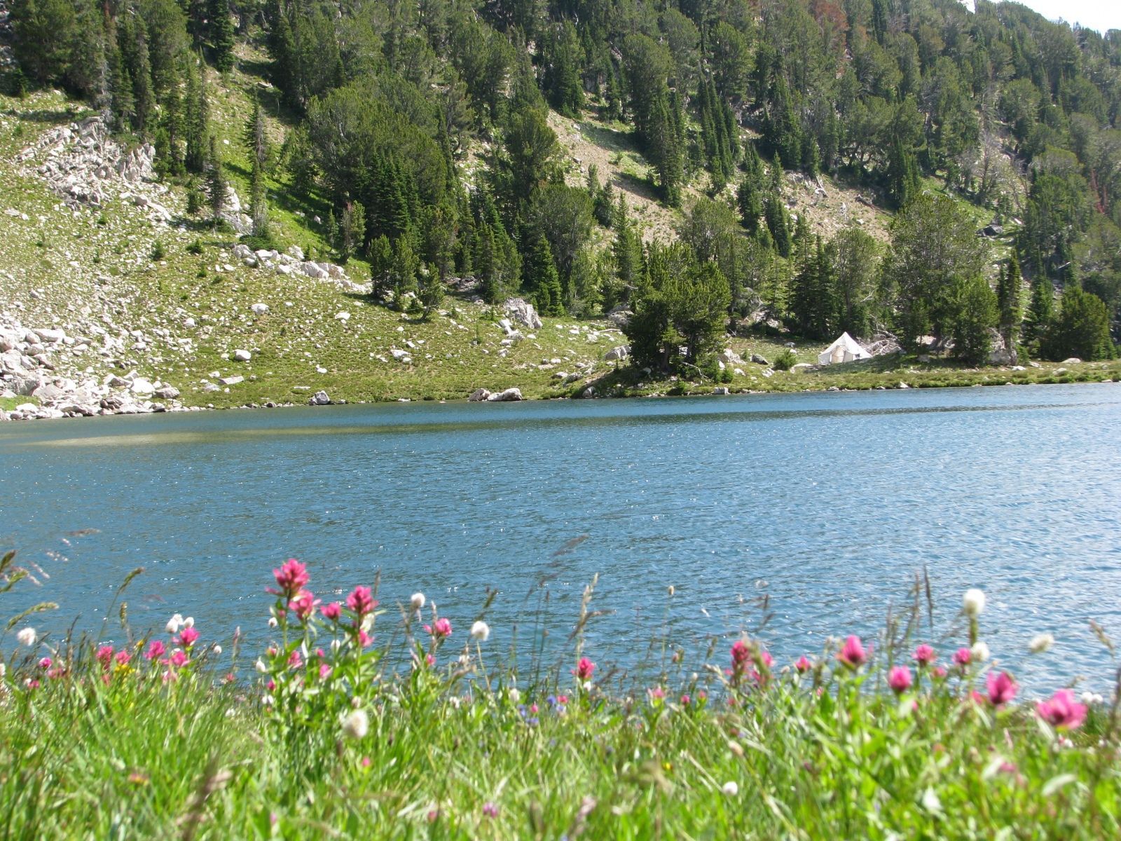 Absaroka Wilderness Photo
