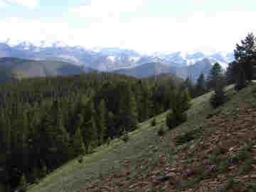 Absaroka Wilderness Photo