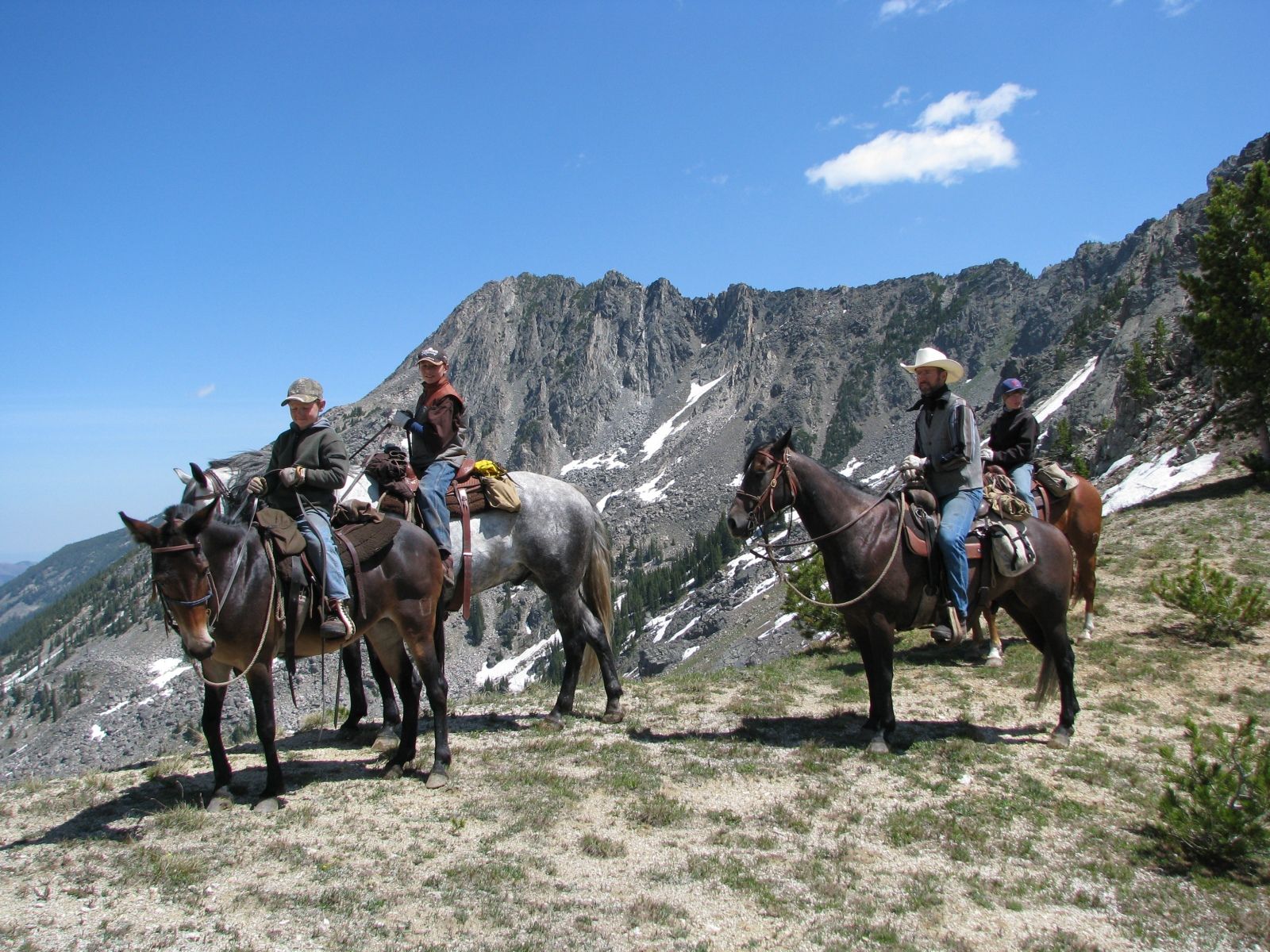 Absaroka Wilderness Photo