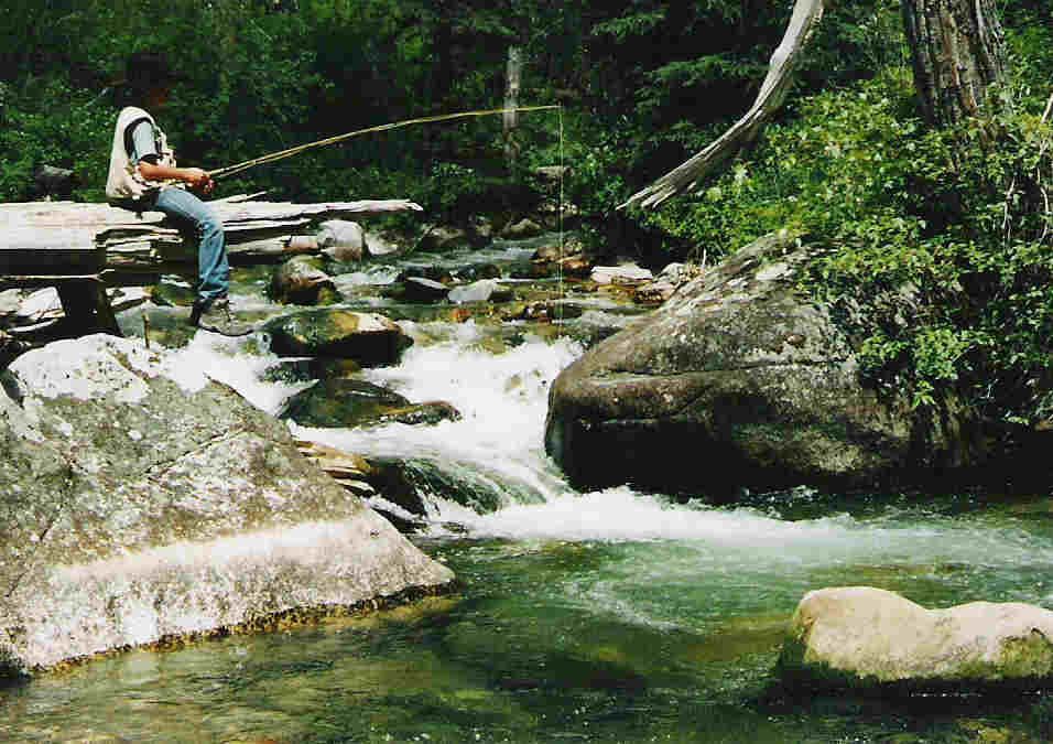 Absaroka Wilderness Photo
