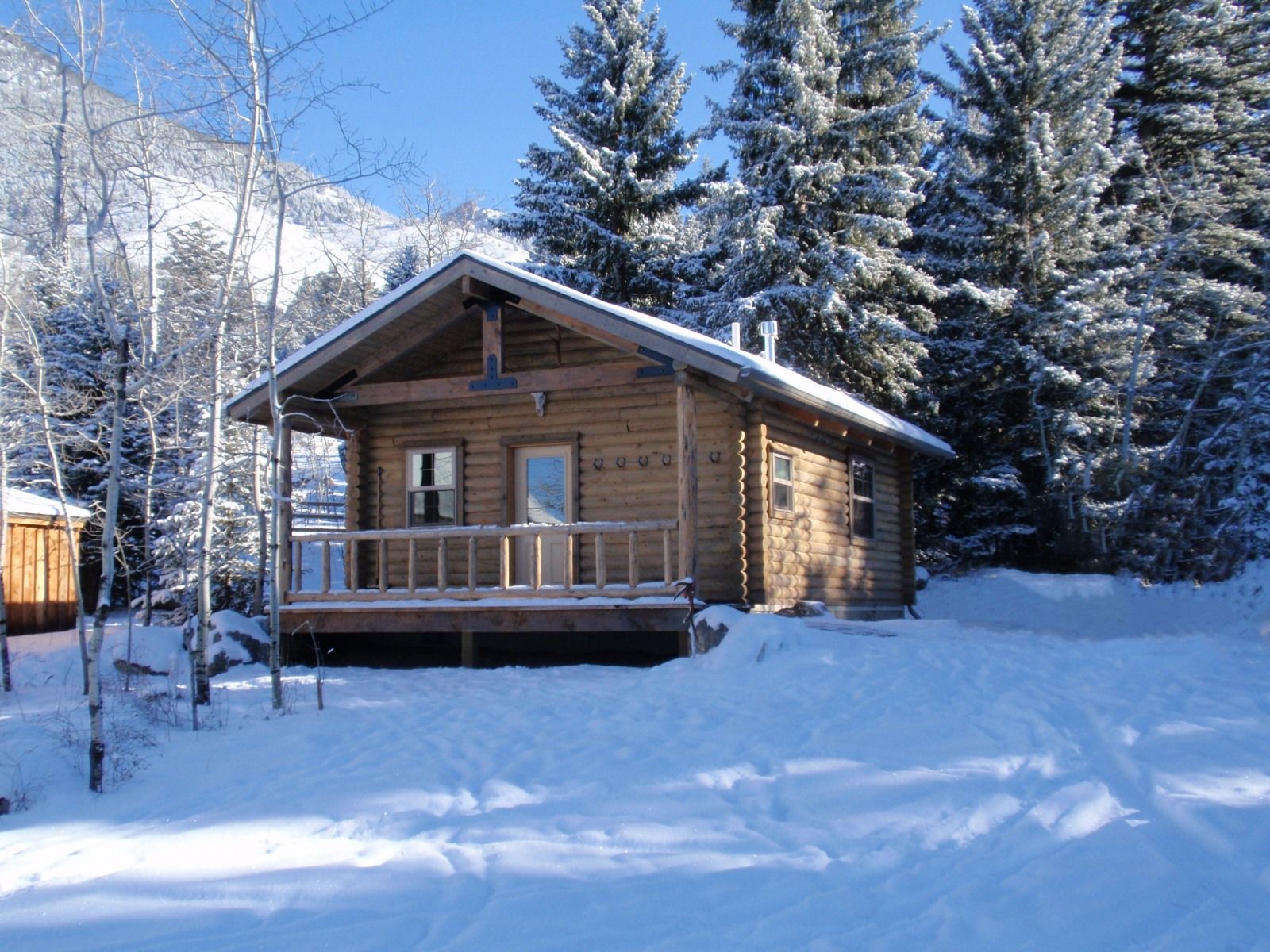 Cabin in the snow